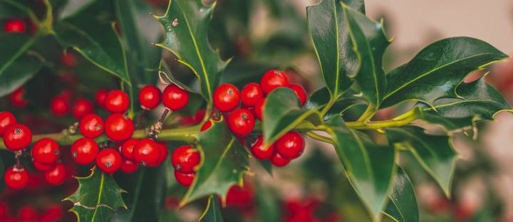 Advent 5 – Be Positive, Not Perfect