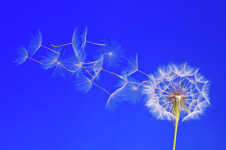 Self-Care Sign In – 8