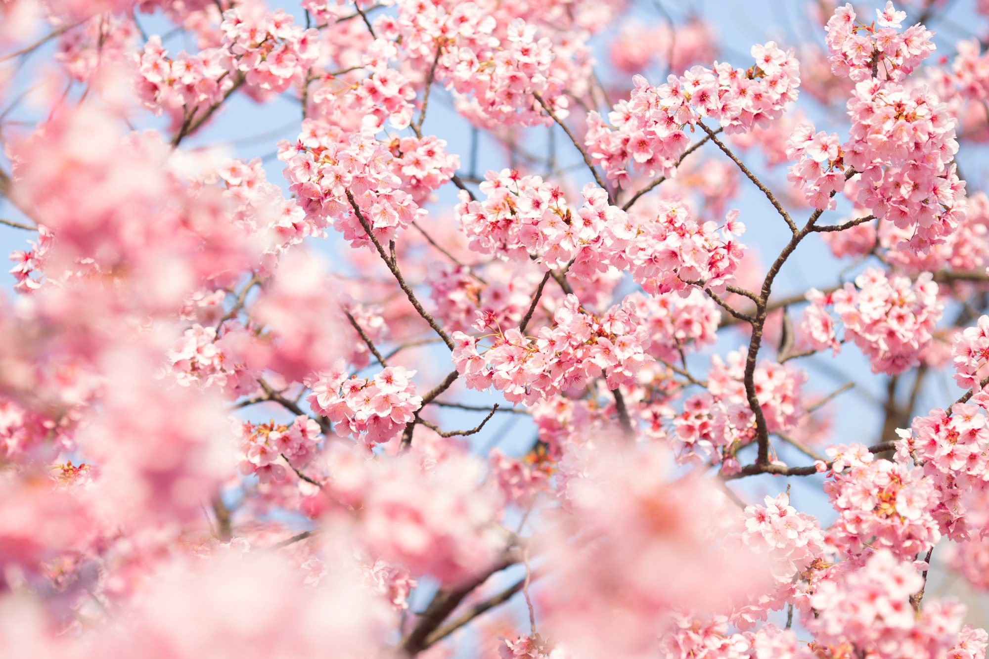 Self-Care Sign In – 9